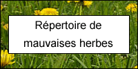 Répertoire de mauvaises herbes